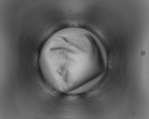 X0000092310314200710121503