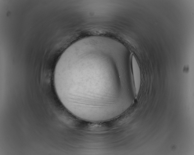X0000092310315200710121503