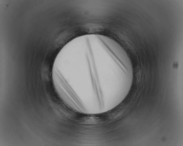 X0000092310316200710121503