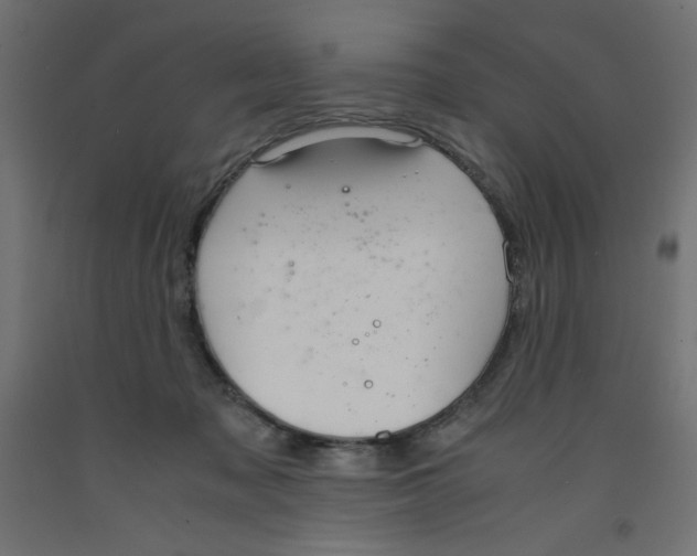 X0000092310317200710121503