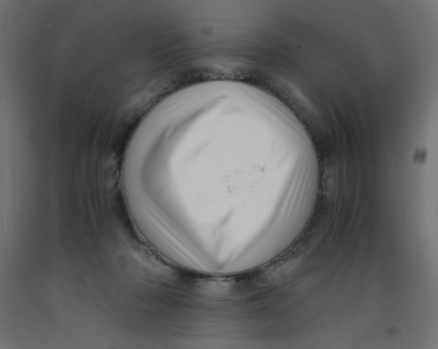 X0000092310318200710121503