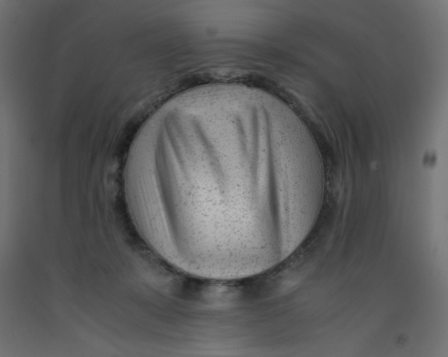 X0000092310319200710121503