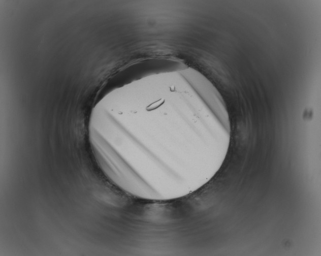 X0000092310320200710121503