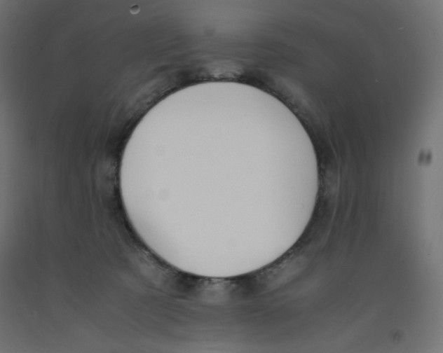 X0000092310321200710121503