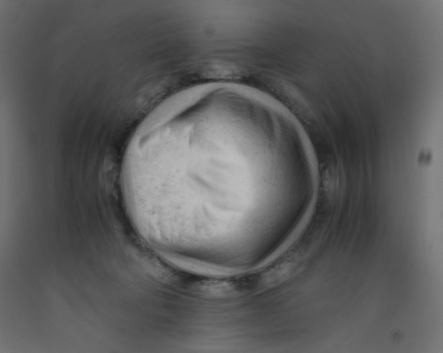 X0000092310322200710121503
