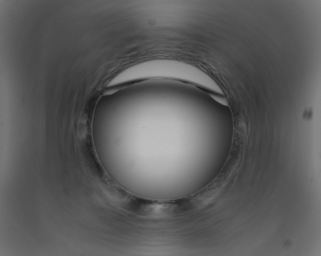 X0000092310323200710121503