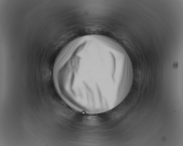 X0000092310324200710121503