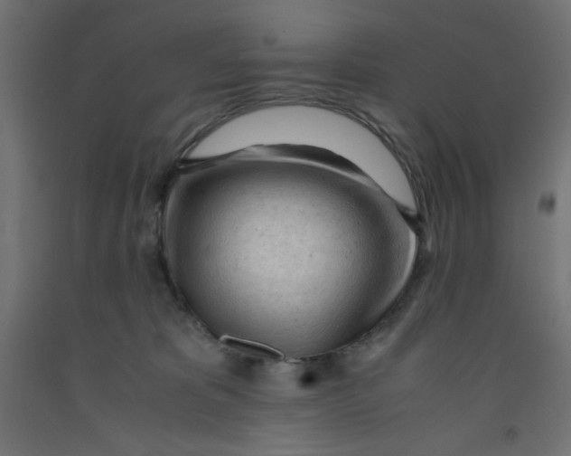 X0000092310325200710121503