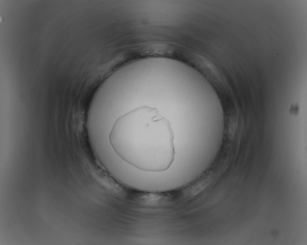 X0000092310326200710121503