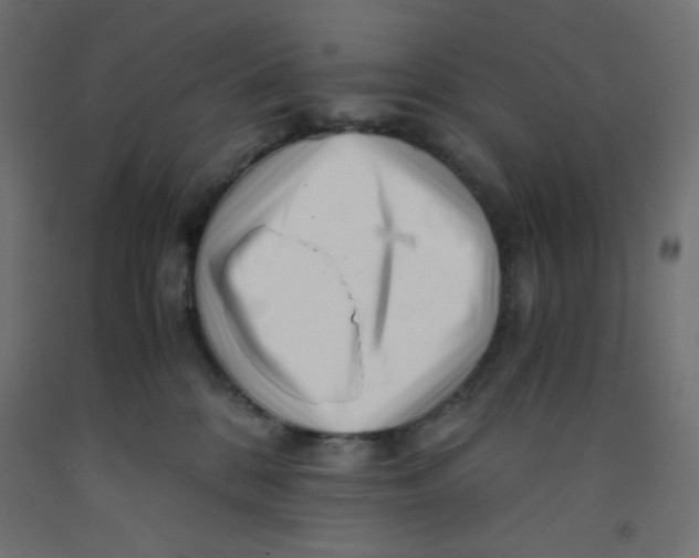 X0000092310328200710121503