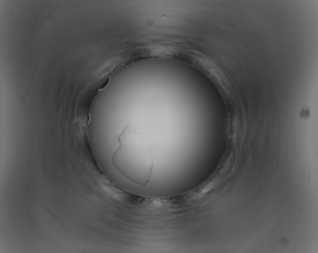 X0000092310329200710121503