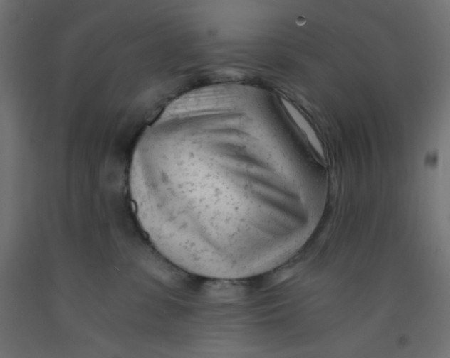 X0000092310331200710121503