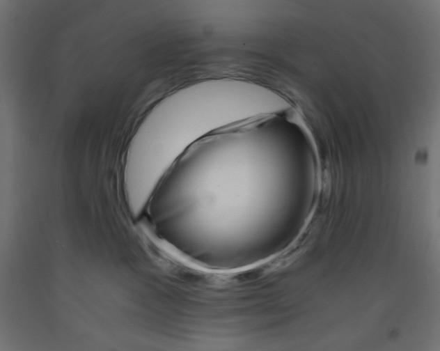 X0000092310333200710121503