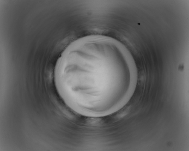 X0000092310334200710121503