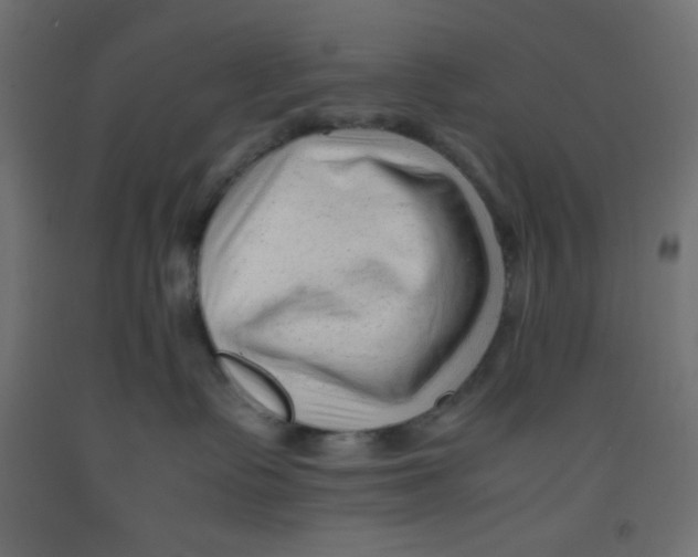 X0000092310335200710121503