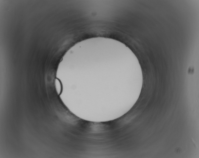 X0000092310336200710121503