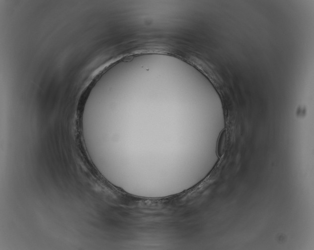 X0000092310338200710121502