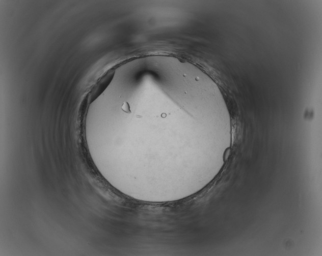 X0000092310339200710121502