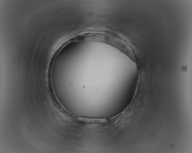 X0000092310340200710121502