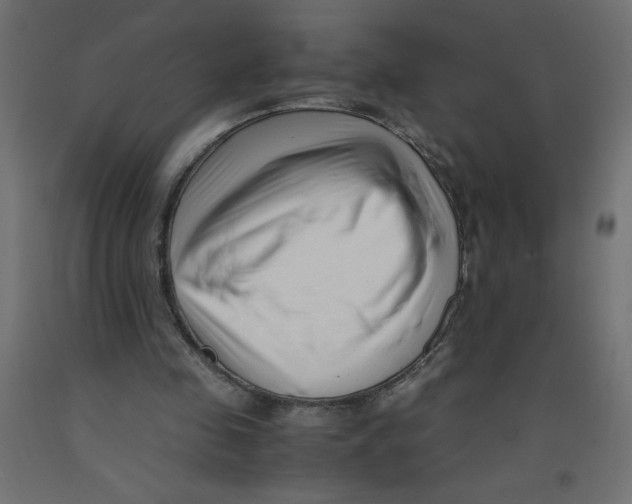 X0000092310341200710121502