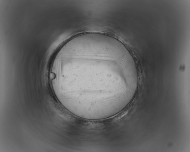 X0000092310343200710121503