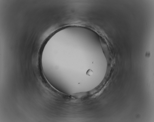 X0000092310344200710121503