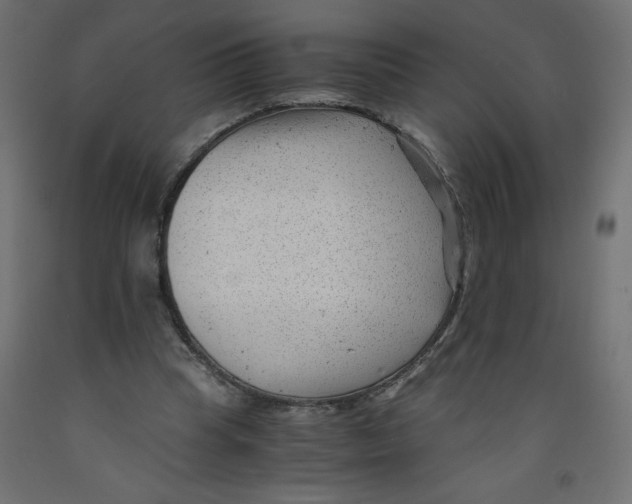 X0000092310345200710121503