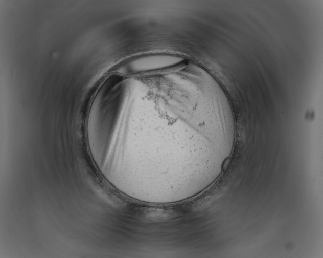 X0000092310347200710121503