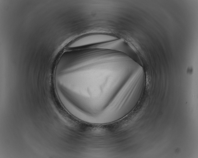 X0000092310348200710121503