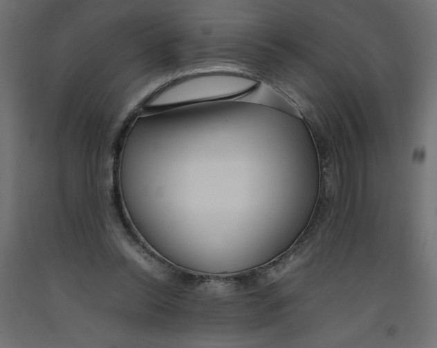 X0000092310350200710121503