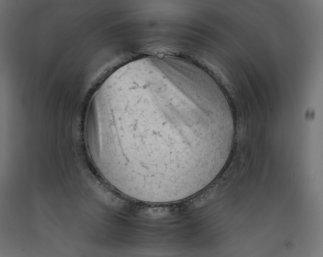 X0000092310353200710121503