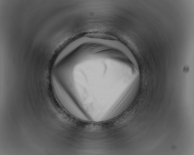 X0000092310354200710121503