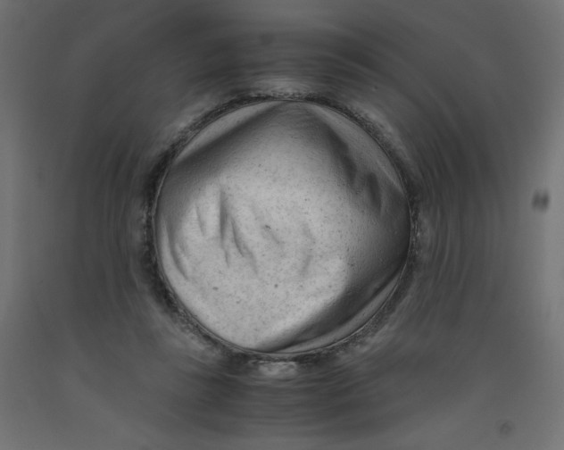 X0000092310355200710121503
