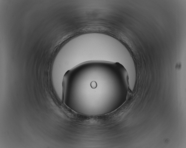 X0000092310356200710121503