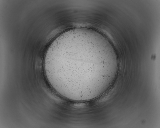 X0000092310357200710121503