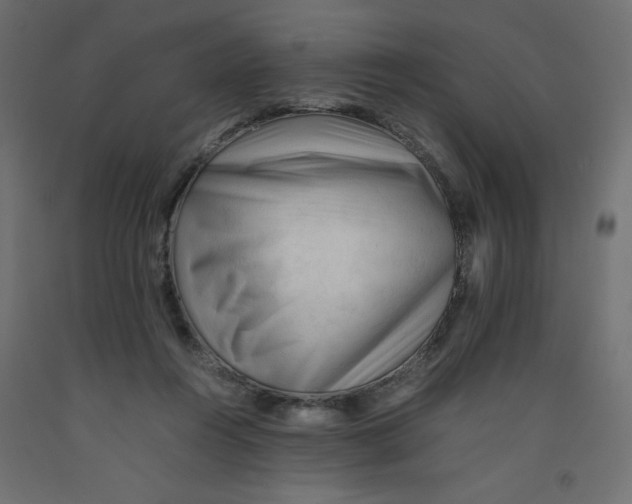 X0000092310360200710121503