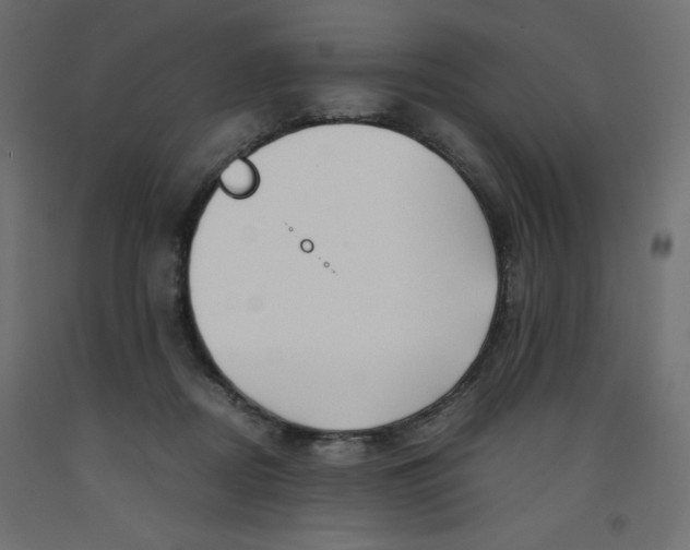 X0000092310362200710121503