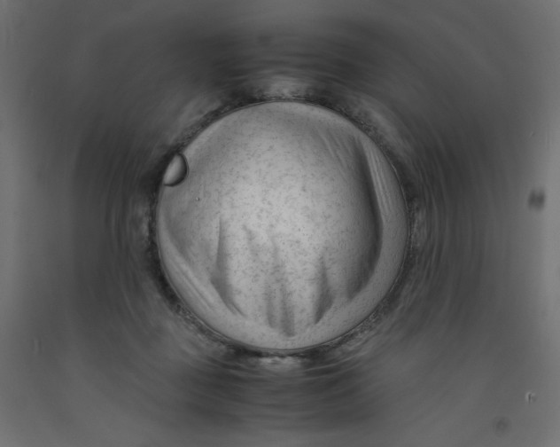 X0000092310363200710121503