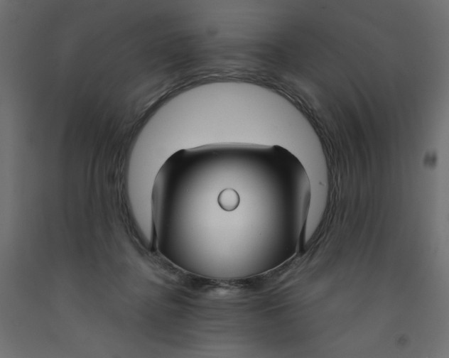 X0000092310364200710121503