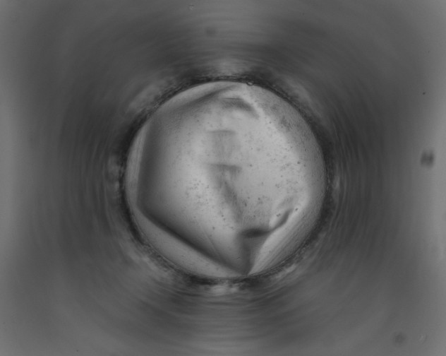 X0000092310366200710121503