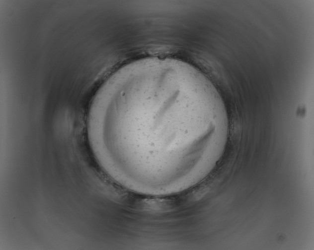 X0000092310367200710121503