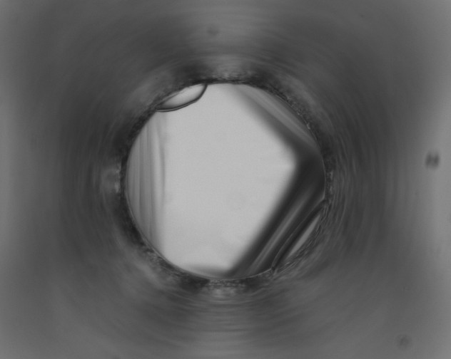X0000092310368200710121503