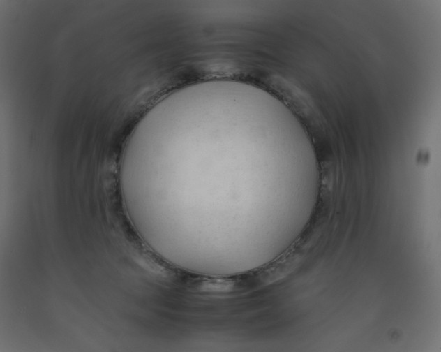 X0000092310369200710121503