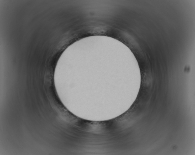 X0000092310370200710121503