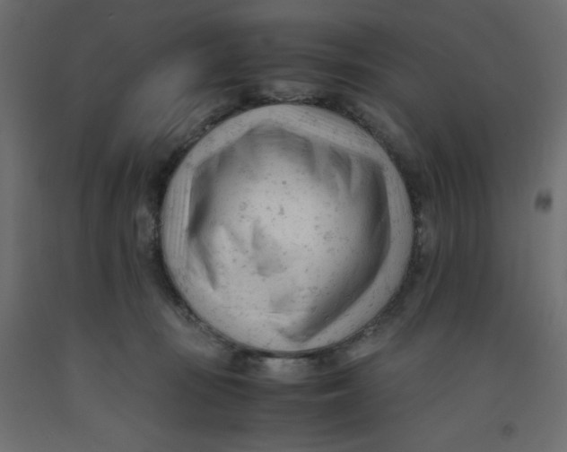 X0000092310371200710121503