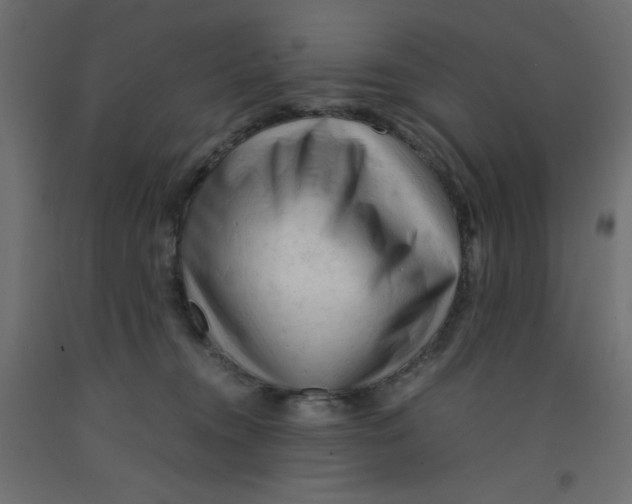 X0000092310372200710121503