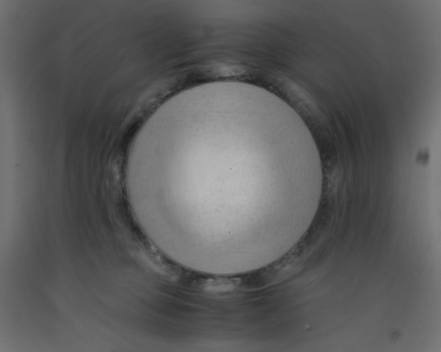 X0000092310373200710121503