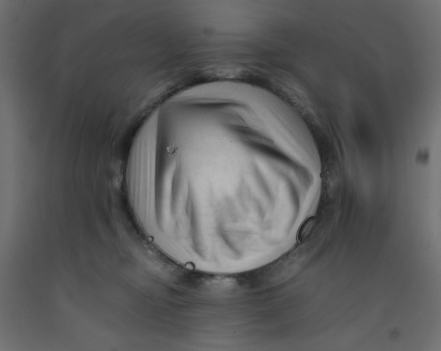 X0000092310374200710121503