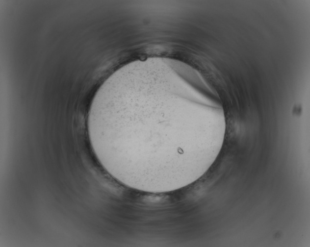 X0000092310375200710121503