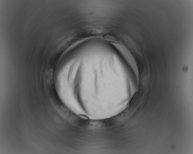 X0000092310376200710121503